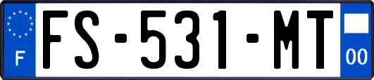 FS-531-MT