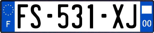 FS-531-XJ