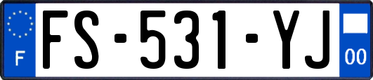 FS-531-YJ