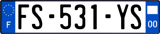 FS-531-YS
