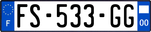 FS-533-GG