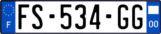 FS-534-GG
