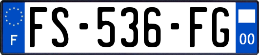 FS-536-FG