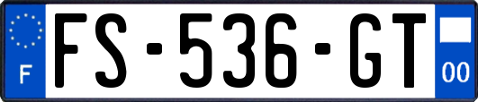 FS-536-GT