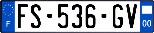 FS-536-GV