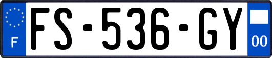 FS-536-GY