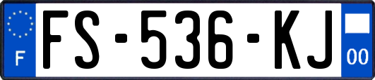 FS-536-KJ