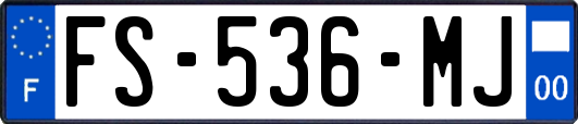FS-536-MJ