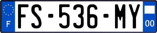 FS-536-MY