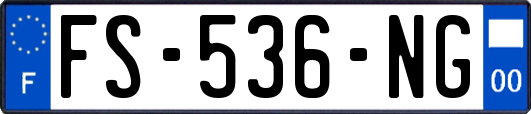 FS-536-NG