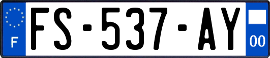 FS-537-AY