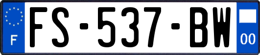 FS-537-BW