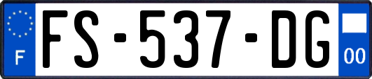 FS-537-DG