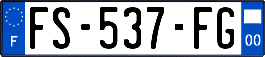FS-537-FG