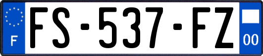 FS-537-FZ