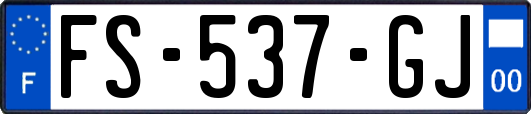 FS-537-GJ