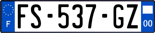 FS-537-GZ