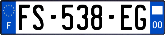 FS-538-EG