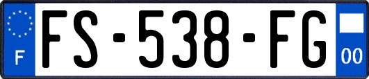 FS-538-FG