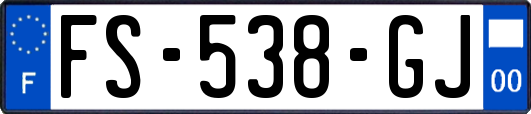 FS-538-GJ