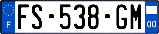 FS-538-GM