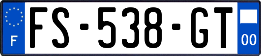 FS-538-GT