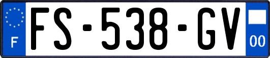 FS-538-GV
