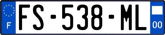 FS-538-ML