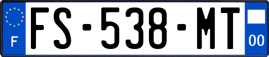 FS-538-MT