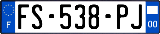 FS-538-PJ