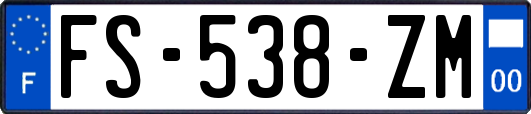 FS-538-ZM