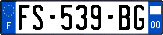 FS-539-BG