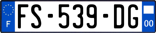 FS-539-DG