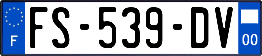 FS-539-DV