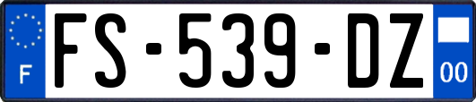 FS-539-DZ