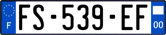 FS-539-EF
