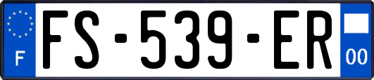 FS-539-ER