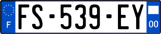 FS-539-EY