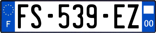 FS-539-EZ