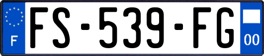 FS-539-FG