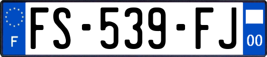 FS-539-FJ
