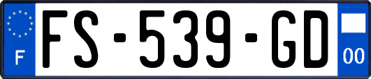 FS-539-GD