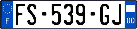 FS-539-GJ