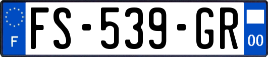 FS-539-GR