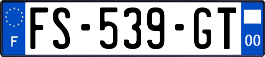 FS-539-GT
