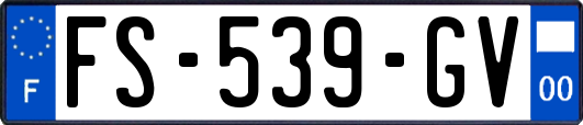 FS-539-GV