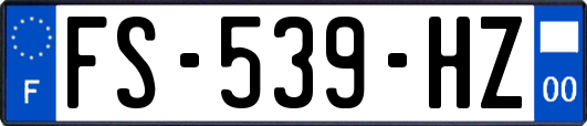 FS-539-HZ