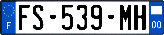 FS-539-MH