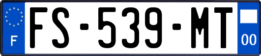 FS-539-MT