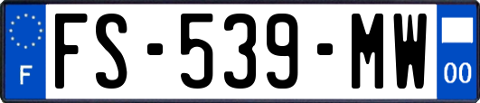 FS-539-MW